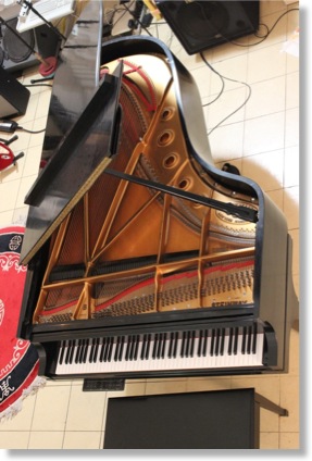 Steinway Side